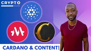 Talking Cardano, Corrnucopias, MELD & Content Creation! Dapp Central Interview