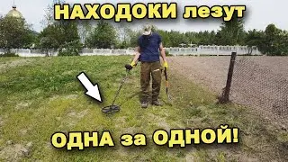 НЕ ОЖИДАЛ! Огород УСЕЯН НАХОДКАМИ! В поисках сокровищ / In search of treasures