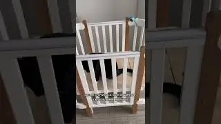 КОТЫ ПРОСЯТ ВЫСЕЛИТЬ РЕБЕНКА? 
