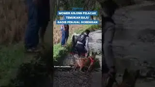 BAJU GADIS Penjual Gorengan yang Dibunuh Ditemukan Anjing Pelacak Polisi, Pelaku Kini Masih Diburu