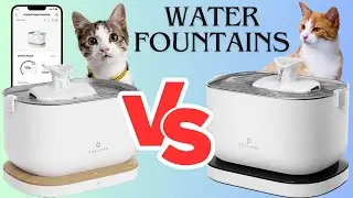 PETLIBRO Pet Water Fountains Review | Cordless VS App monitoring