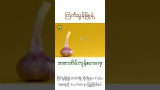 ကြက်သွန်ဖြူနဲ့ အစာအိမ်ကျန်းမာရေး #health #myanmar #garlic