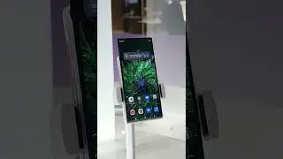 concept fold phone 