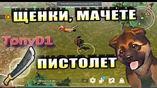ЛДОЕ! ПРОХОЖДЕНИЕ ИГРЫ LAST DAY ON EARTH SURVIVAL! ГДЕ НАЙТИ ПИСТОЛЕТ И МАЧЕТЕ? КОД БУНКЕРА АЛЬФА