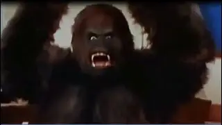 Kentucky Fried Movie (1977) - Disrespected Gorilla Goes Ape After Being Called Impotent