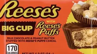 reeses puffs x paralyzer mashup :D