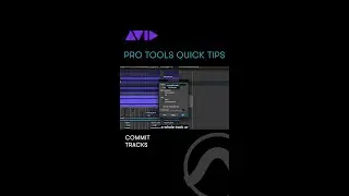 See how to Commit Tracks in Pro Tools to render your audio to a new track