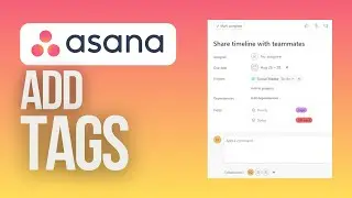 How to Add Tags in Asana | Asana for Beginners