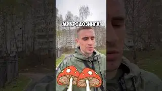 🍄МИКРОДОЗИНГ МУХОМОРОВ #провинциал #микродозингмухомора #зависимость #передоз #альфапвп #наркомания