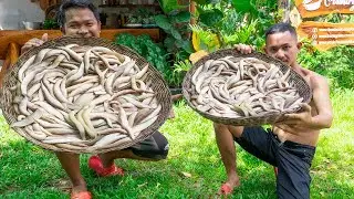 Cooking a lot Fish Soup 😋