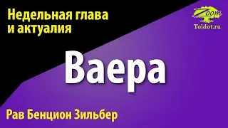 Рав Бенцион Зильбер: Недельная глава Ваера