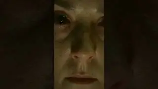 ОНА СТИРАЕТ ПАМЯТЬ
