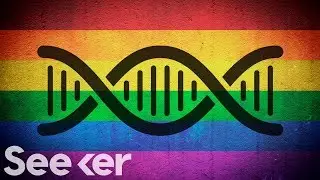 Is Homosexuality in Your Genes?