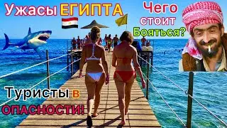 СТРАШНЫЙ Египет 2024🇪🇬 ОСТОРОЖНО❗️ Чего БОЯТСЯ туристы на отдыхе в Египте? Египетские УЖАСЫ