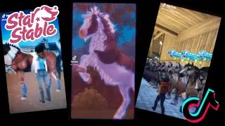 Star Stable Tiktoks CLEAN
