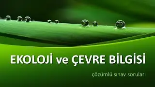 Ekoloji ve Çevre Bilgisi Dersi Çözümlü Sınav Soruları | ✅ Sınavda Çıkabilecek Sorular