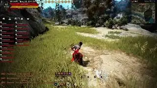 Black Desert Online PS5 Рейд