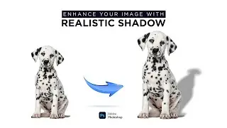 Enhance Your Image with Realistic Shadow in Photoshop like a pro using Field Blur