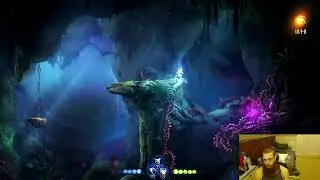 Ori and the Will of the Wisps (2/8) [VOD]