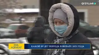 КАКОЙ БУДЕТ ПОГОДА В ЯНВАРЕ 2021 ГОДА