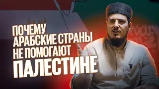 ПОЧЕМУ МУСУЛЬМАНСКИЕ СТРАНЫ НЕ ПОМОГАЮТ ПАЛЕСТИНЕ?