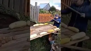 Бильярд Вот в чем секрет