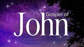 Gospel of John - Abide Audio Bible: (Holy Bible Audio)