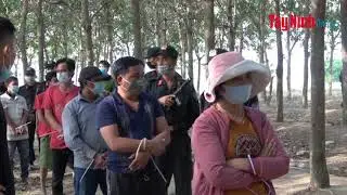 CATP Tay Ninh triet pha tu diem danh bac giua rung cao su