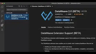 Power of DataWeave 2023 (DW Project on VisualStudio Code to Exchange as API dependency)