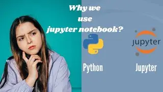 Why Jupyter