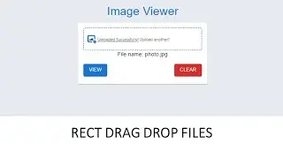 React Drag Drop Files