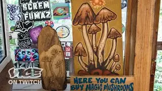 Inside Mexico’s Magic Mushroom Paradise | VICE on Twitch