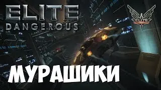 Elite: Dangerous - Мурашики