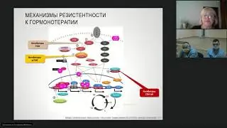 Лекарственное лечение рака молочной железы (вебинар 8 октября 2020)