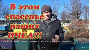 ГОДОВОЙ ЦИКЛ ЛЕЧЕНИЯ ПЧЁЛ ОТ КЛЕЩА ВАРРОА, ПЧЕЛОВОД СДЕЛАЙ ЭТО И СОХРАНИ ПЧЁЛ