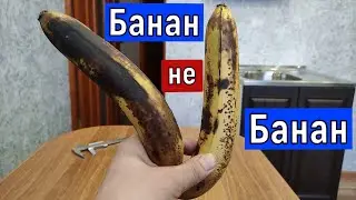 Бананы покупать желтые или зеленые?  Дозревание бананов в домашних условиях
