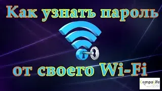 Как узнать свой пароль от Wi-Fi в Windows 7, Windows 10 или на роутере