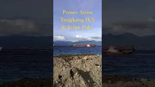 Menegangkan! Seperti ini Proses Assist Tongkang si Teluk Palu #trailer #assist #tongkang #ikn