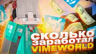 Сколько заработал проект VimeWorld за всю свою историю