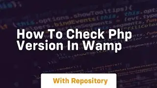 How to check php version in wamp