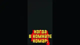 КОГДА В КОМНАТЕ КОМАР