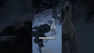 Белая быстрая лошадь в RDR 2 😍🦄 