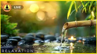 🔴 Deep Relaxing Music for Stress Relief 24/7, Healing Meditation Music, Calming Music, Relaxation