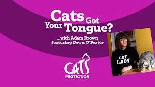 Cats Got Your Tongue? podcast with Dawn O'Porter  🐱🎙️ My cat's obsessed with me