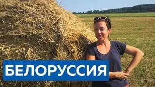 По дорогам Белоруссии и свадьба в Минске