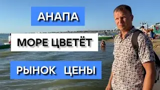 РЫНОК В АНАПЕ, море цветёт. Приехали в гости к друзьям с Норильска. Спасибо морю ) Объединяет