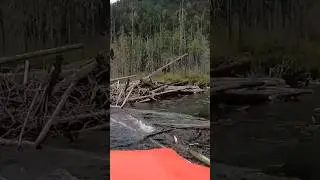 Порвем лодки?!