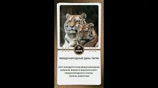 Международный День Тигра