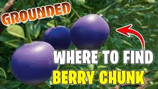 Where to find Berry Chunk in Grounded