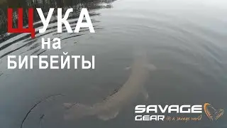 Трофейная щучья рыбалка с крупными приманками Savage Gear / ЩУКА на СВИМБЕЙТЫ